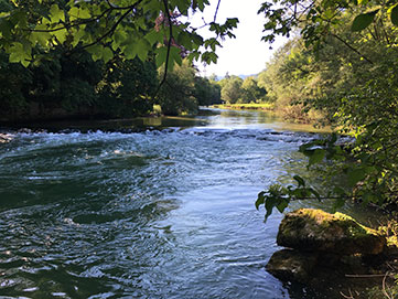 Pêcher à la mouche sur la Loue