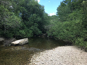 Pêcher à la mouche sur La Saine