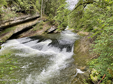 Pêcher à la mouche sur le doubs