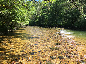 Pêcher à la mouche sur l'ain eau rapide