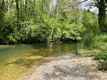 Pêcher à la mouche sur l'ain eau calme