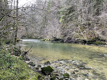 Pêcher à la mouche sur la lemme eau calme