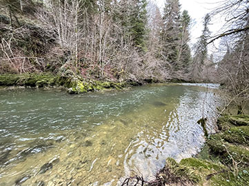 Pêcher à la mouche sur la lemme eau rapide