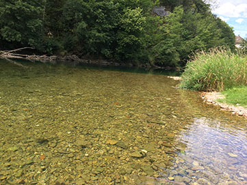 Pêcher à la mouche sur la loue eau calme