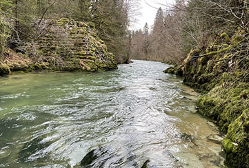 Pêcher à la mouche sur saine