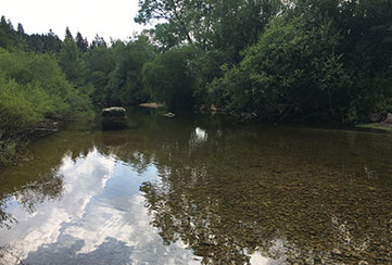 Pêcher à la mouche sur saine