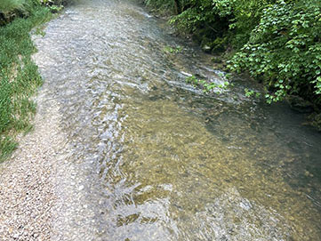 Pêcher à la mouche sur le dessoubre