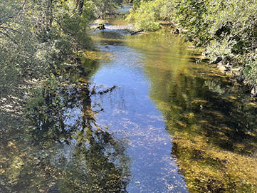 Pêcher à la mouche sur le dessoubre