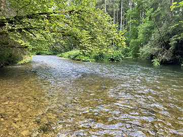 Pêcher à la mouche sur le Doubs