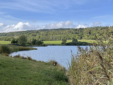 Pêcher aux leurres