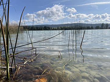 Pêcher aux leurres