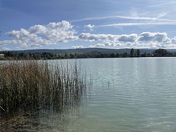 Pêche étang du pont-rouge