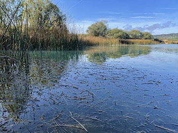 Pêche étang du pont-rouge