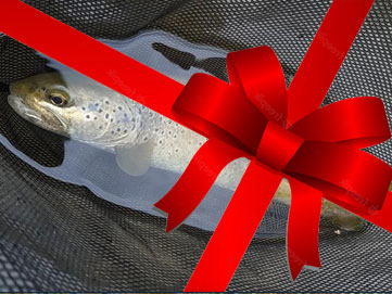 Bon cadeau Stage Pêche