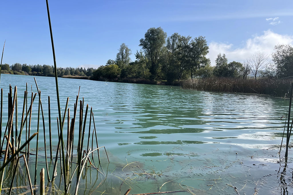 Journée Découverte Pêche aux Leurres