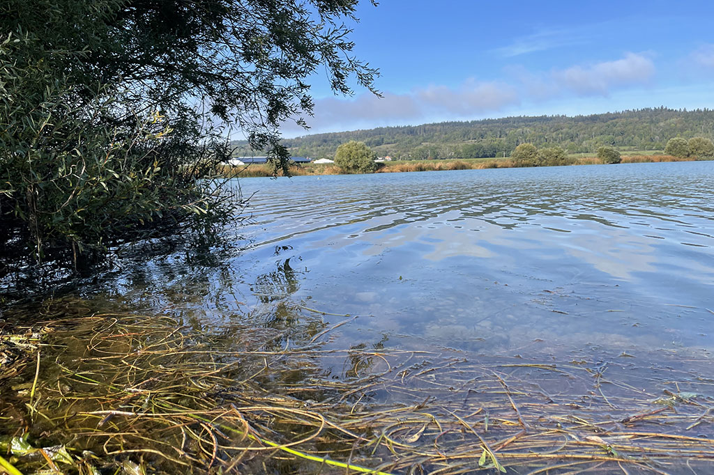 Journée Pêche aux Leurre