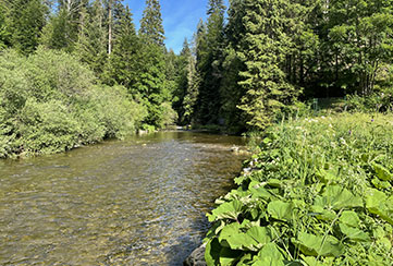 Stage Initiation pêche à la mouche doubs et jura