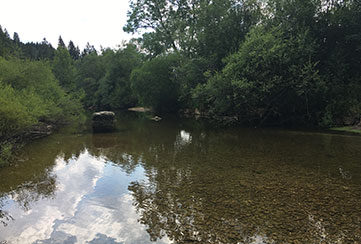 Stage pêche à la mouche en famille doubs et jura